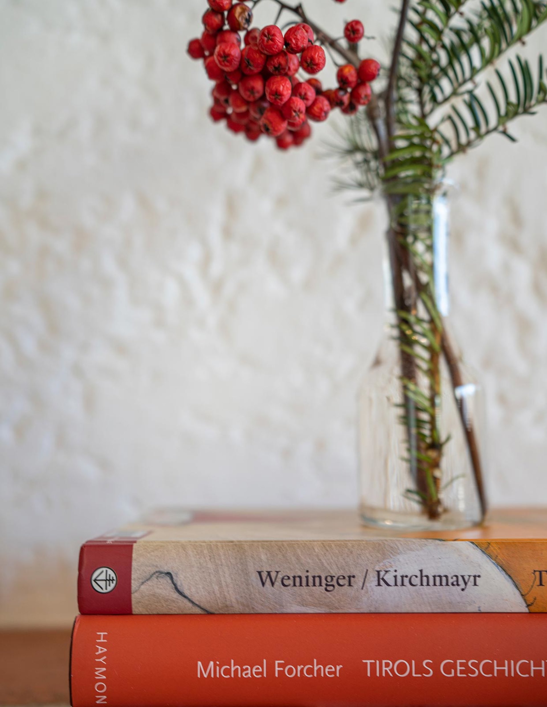 Appartements Prachenskyhof Seefeld – FAQ und Wissenswertes über Seefeld und den Prachenskyhof